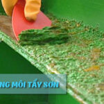 Dung môi tẩy sơn là gì? Vai trò, đặc điểm và các loại phổ biến