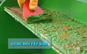 Dung môi tẩy sơn là gì? Vai trò, đặc điểm và các loại phổ biến